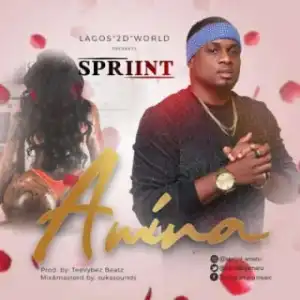 Spriint - Amina (Prod. by TeeVybez Beatz)